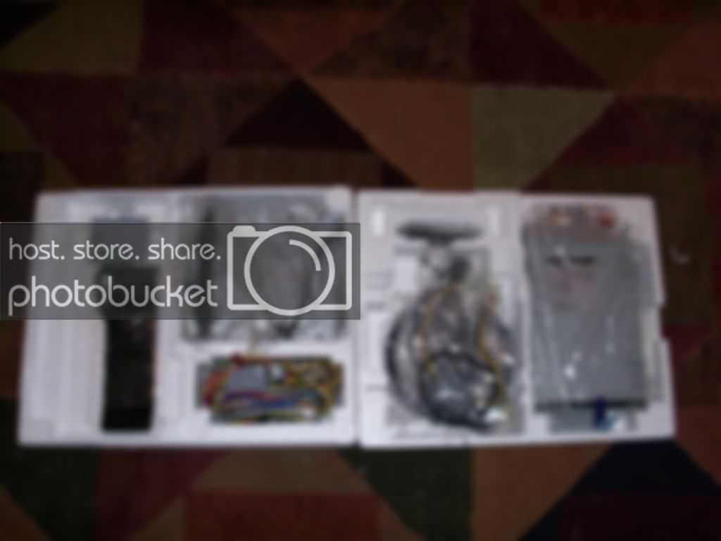 dd3818005.jpg
