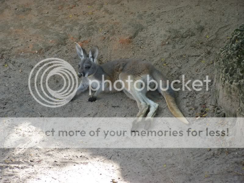zoo016.jpg