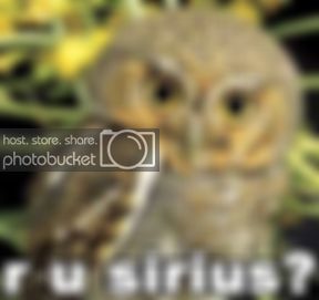 rusrs.jpg