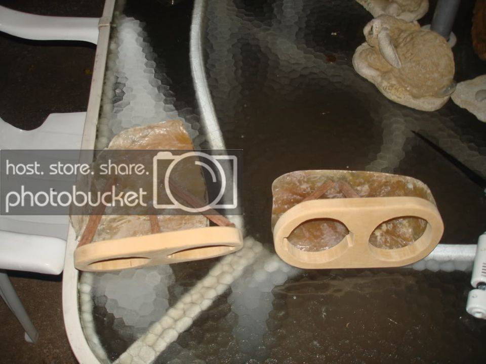 DSC04375.jpg
