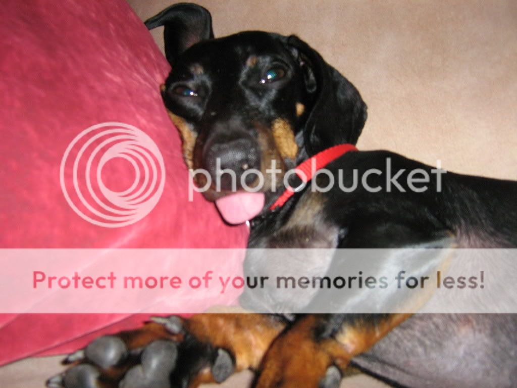 IMG_1227.jpg