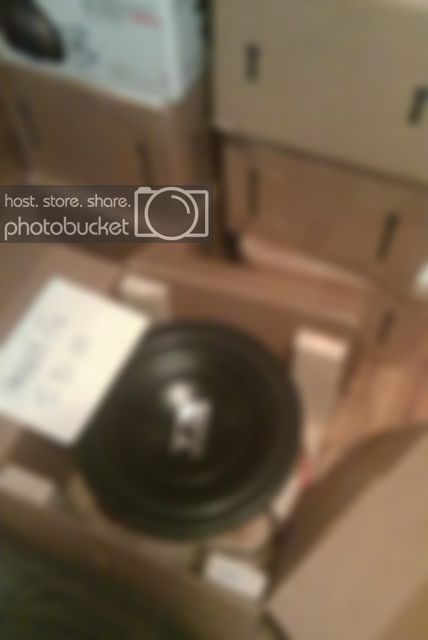 IMAG0222.jpg