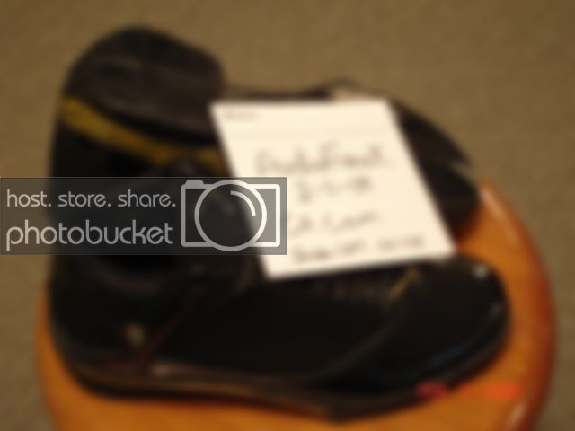 2K9006.jpg