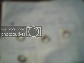 200835.jpg