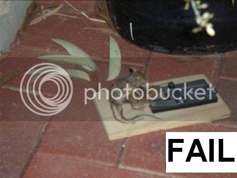 Fail.jpg