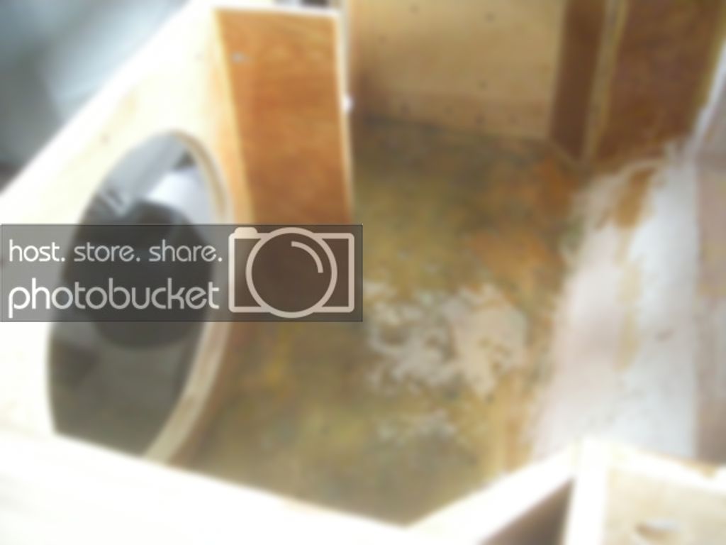 DSCN3213.jpg