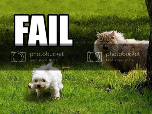 fail_dogs.jpg