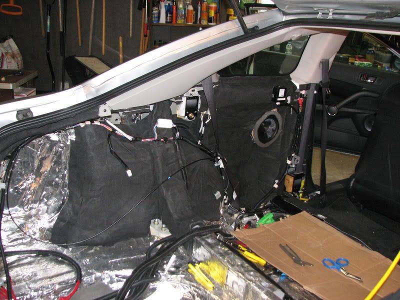SciontC_rearcavity015.jpg