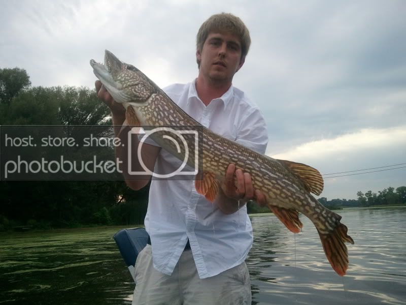 2011-09-02175322.jpg