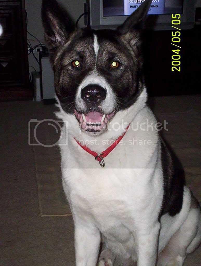 Picture_0108.jpg