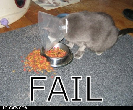 lolcatsdotcomvpvo45lw3m530p50.jpg