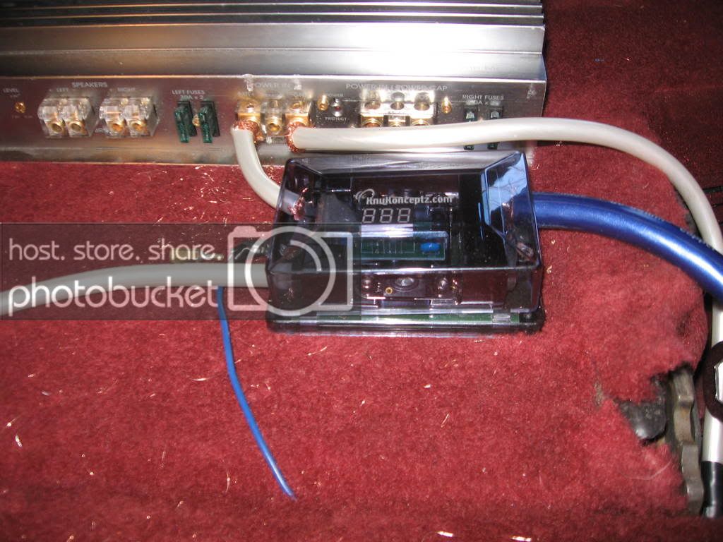 IMG_2594.jpg
