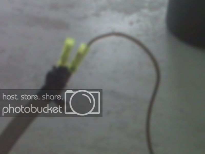 IMG00137.jpg