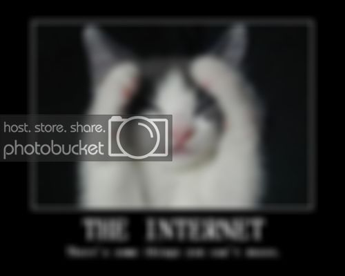 imageskittyblind-2d500x400.jpg