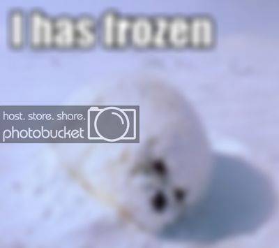 i-has-frozen.jpg