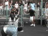 3554.gif