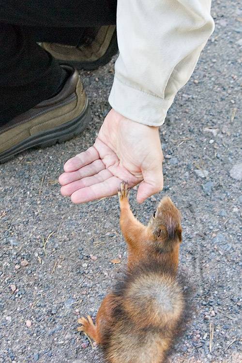 highfive_34304.jpg