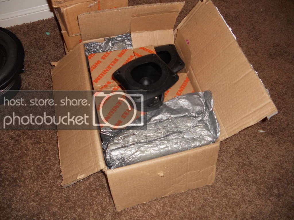 Picture013.jpg