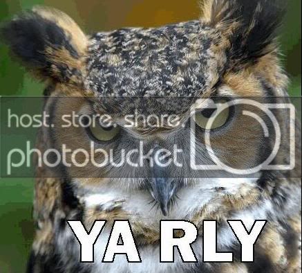 yarly.jpg
