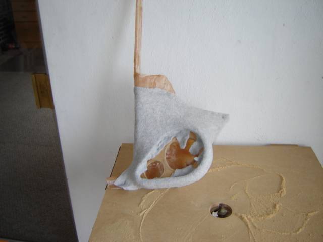 DSC02898.JPG