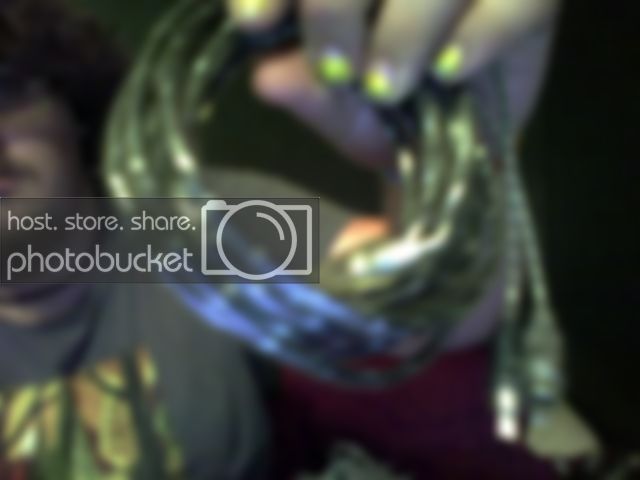 Snapshot_20090712_8.jpg