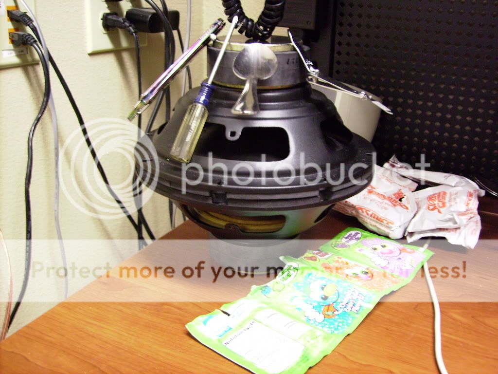 IMGP0251.jpg