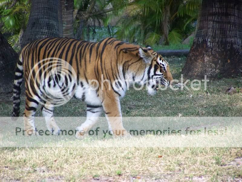 zoo011.jpg