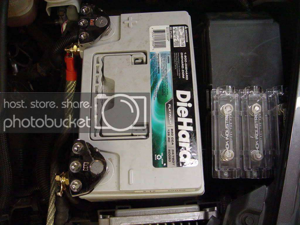 DSC06203.jpg