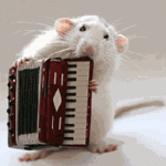 711104585_ygs5Z-O.gif