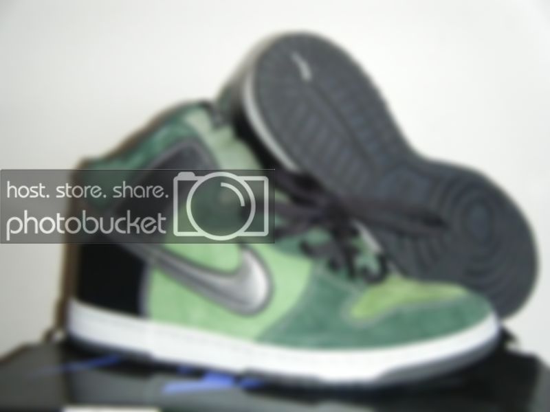 DunkHighSBBrut.jpg