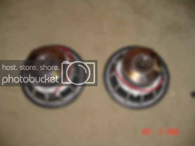 DSC00800.jpg
