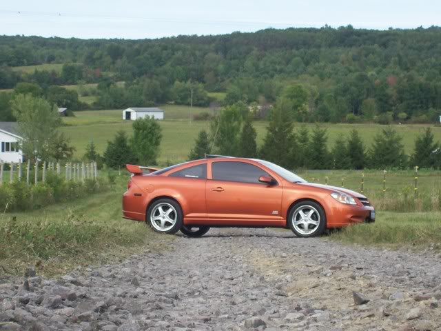 Picturec743317.jpg