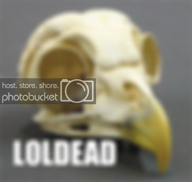 birdflu.jpg