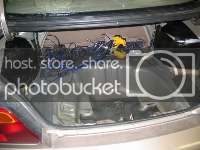 TrunkStripped.jpg