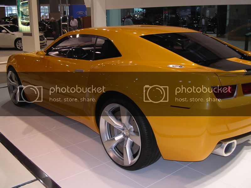 DSCN2478.jpg