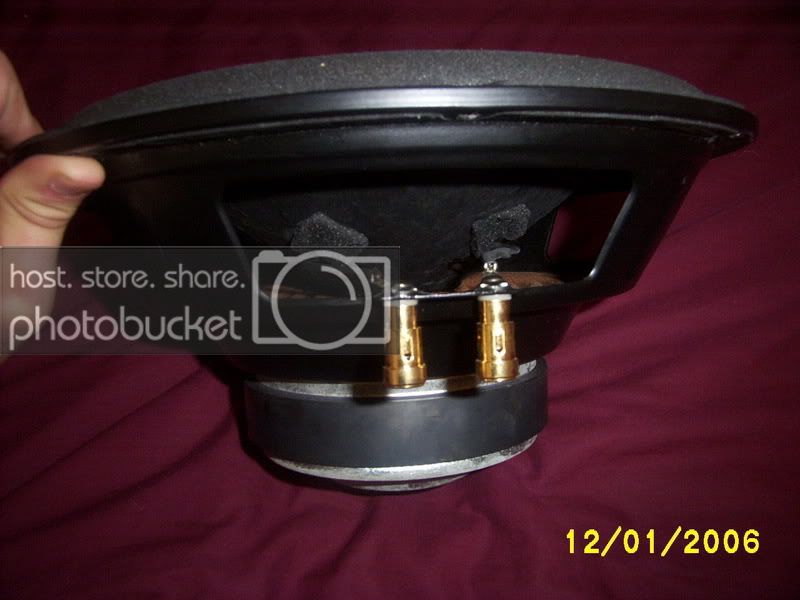 Picture433.jpg