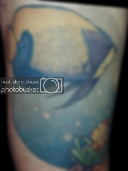 Leg002.jpg
