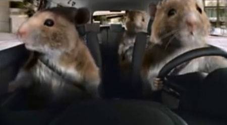 kia-soul-hamster.jpg