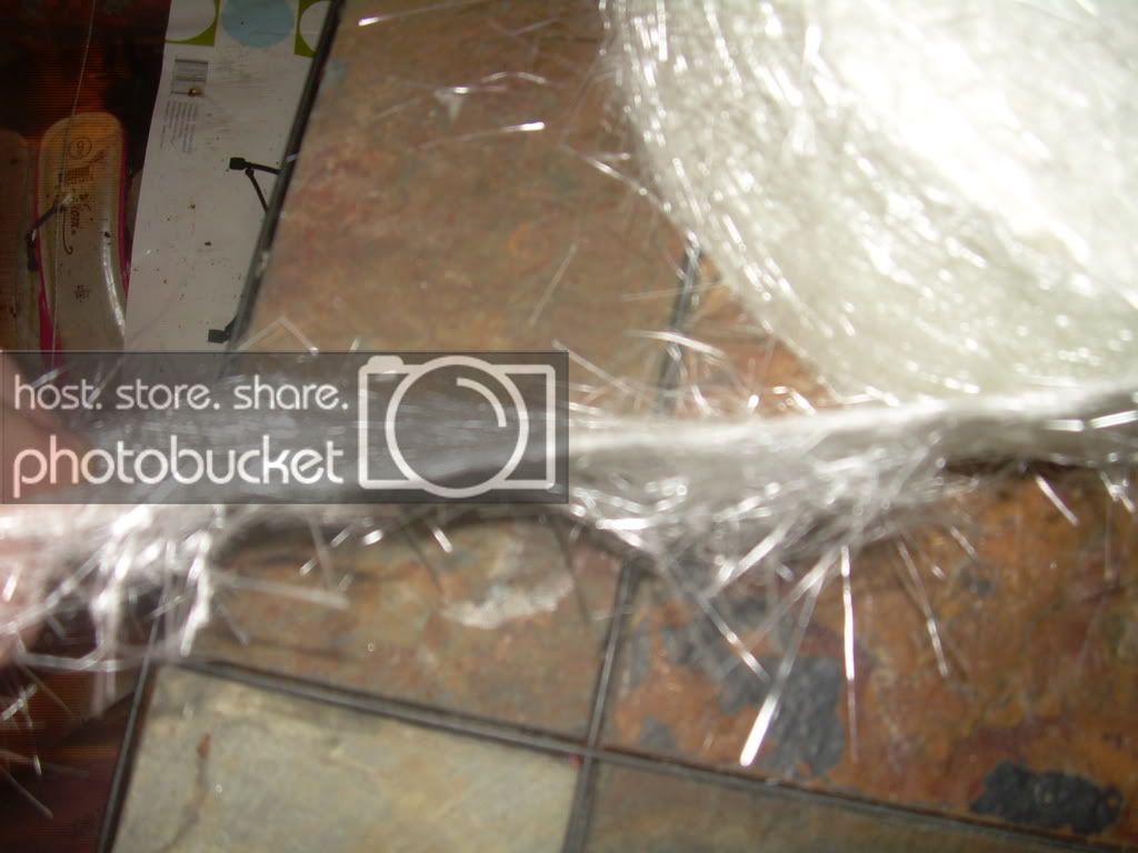 DSCN5077.jpg