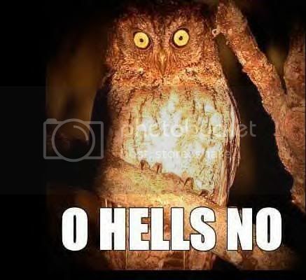 ohellsN.jpg