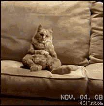 1265949596902.gif