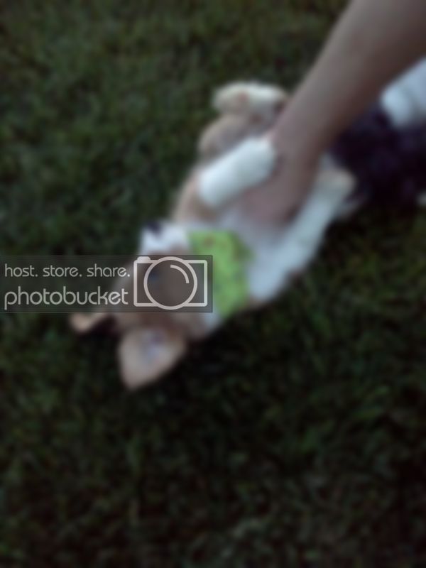IMG_20110521_202325.jpg