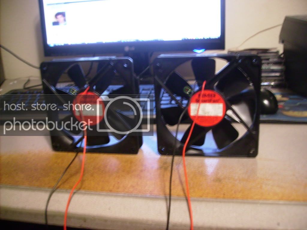 IMGP0264.jpg