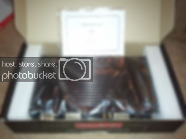 2011-07-10231755.jpg