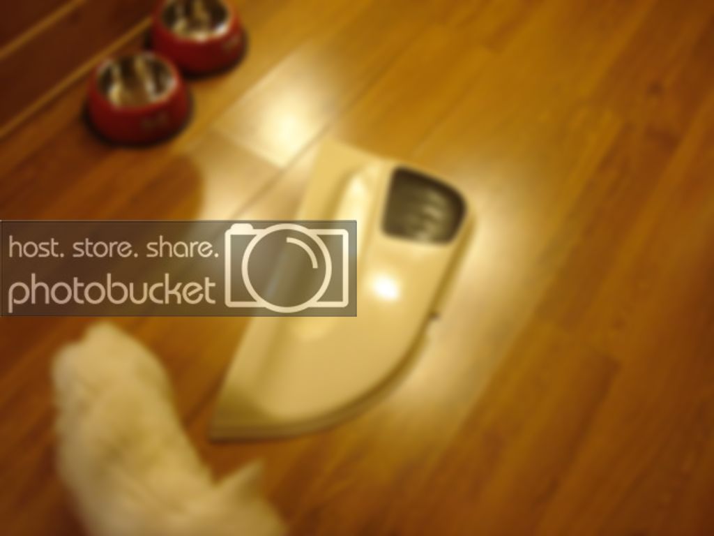 DSC08127.jpg