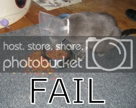 fail.jpg