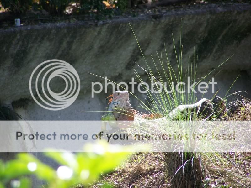 zoo056.jpg