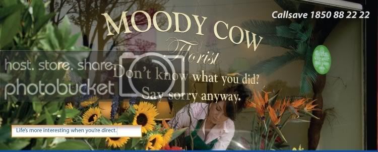 MoodyCow.jpg