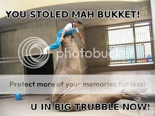 bukket-02.jpg