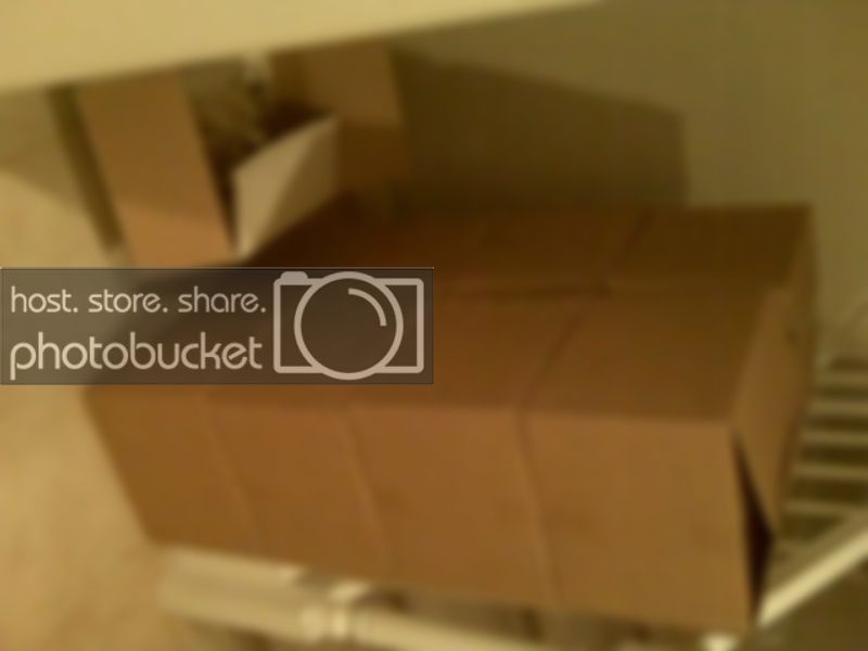 IMG_0160.jpg